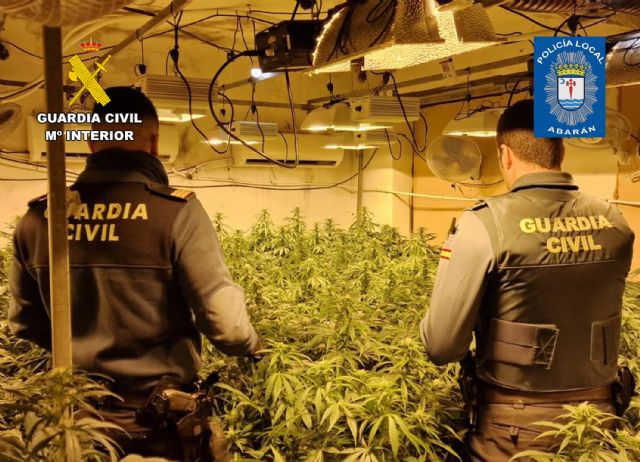 Desmantelan un grupo delictivo en Abarán dedicado al cultivo ilícito de marihuana