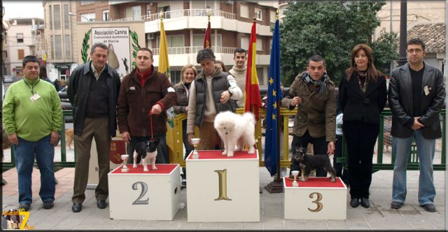 Algunos de los animales premiados junto a sus dueños, organizadores, y autoridades locales. 