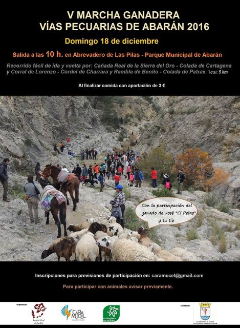 V Marcha Ganadera Vías Pecuarias de Abarán 2016