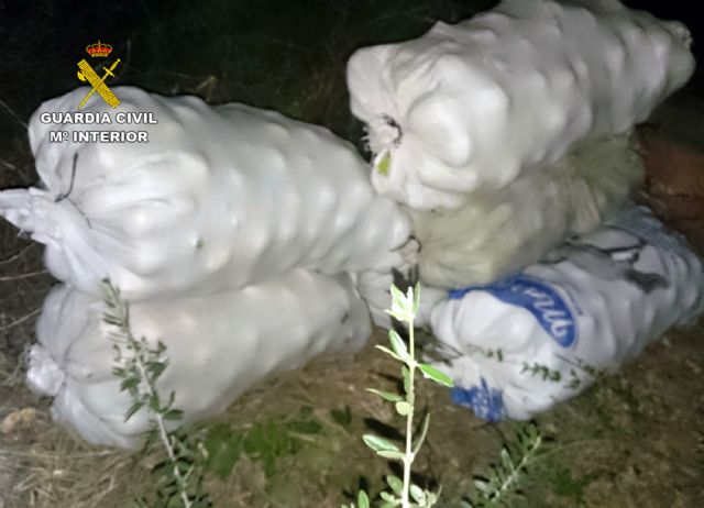 La Guardia Civil sorprende a dos personas sustrayendo gran cantidad de limones
