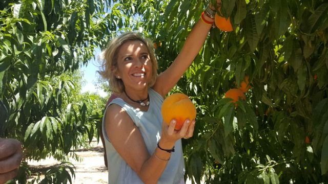 El IMIDA y Novamed estudian nuevas variedades de fruta de hueso en Abarán