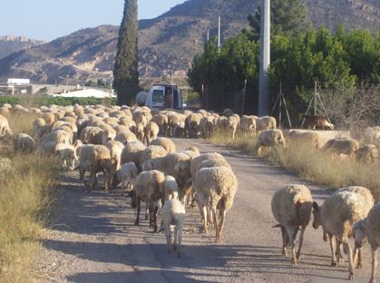 Comunicado de prensa de la asociación cultural 'La Carrahila'