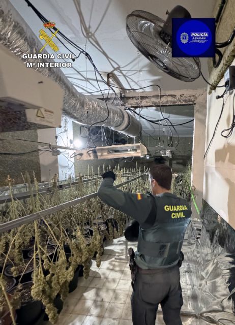 Detienen a un padre y a un hijo por cultivo de marihuana y defraudación de fluido eléctrico