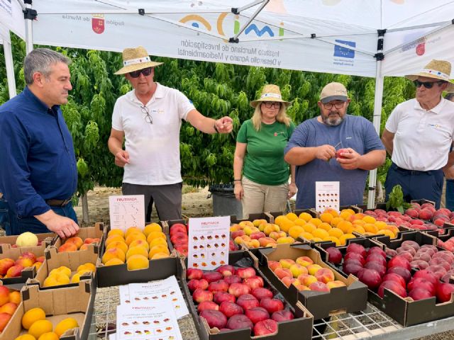 El Imida desarrolla dos nuevas variedades de melocotón para impulsar la competitividad del sector frutícola