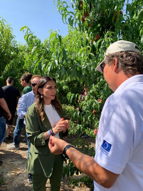 Murcia: potencia en la investigación y el desarrollo de nuevas variedades de fruta de hueso de alta calidad