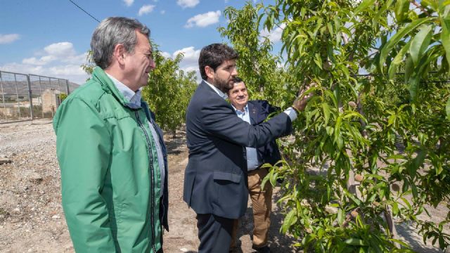 López Miras mantiene un encuentro con agricultores y empresarios agrícolas en Abarán