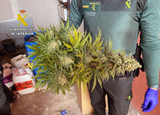 La Guardia Civil desmantela en AbarÃ¡n un grupo criminal dedicado a la producciÃ³n a gran escala de marihuana